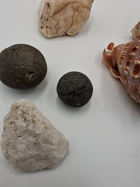 Sten og forsil samling